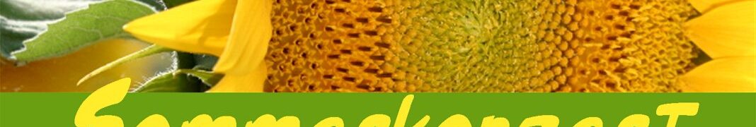 Sommerkonzert (Mo. 08.06. 19 Uhr) – Herzliche Einladung!